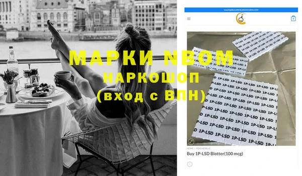 стаф Ладушкин