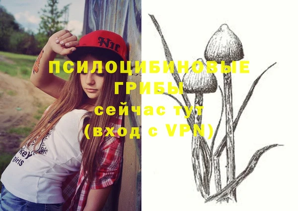 ECSTASY Лабытнанги