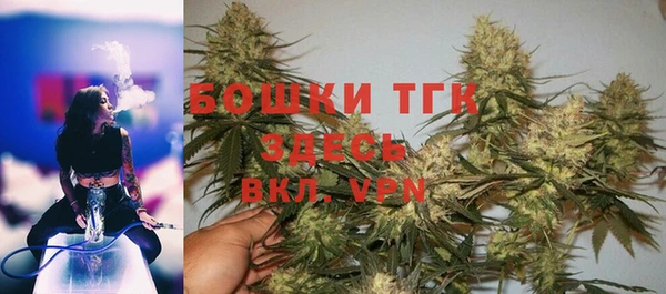 стаф Ладушкин