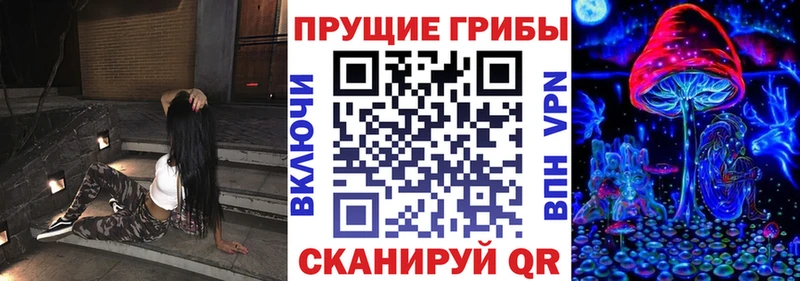 Купить  Новоалександровск  Галлюциногенные грибы мицелий 